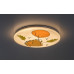 Plafoniera Hedgy 24W 71191 Rabalux - imagine 2
