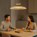 Pendul Zofrael 24W LED 72411 Rabalux - imagine 6