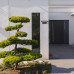 Aplica de exterior Qesa 77005 Rabalux - imagine 7